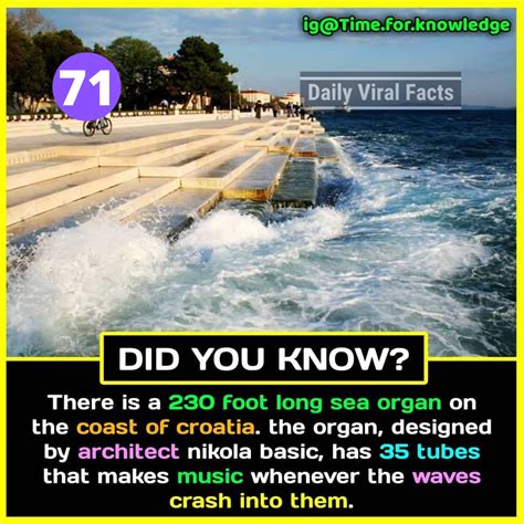 Freeinjects: Facts You Should Know .
